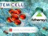 Stem Cell Headlines Highlight Importance of FDA Decisions to Athersys and More