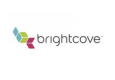 Brightcove Shares Nosedive on Weak 2013 Guidance