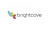 Brightcove Shares Nosedive on Weak 2013 Guidance