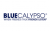 Hearing Date Set in Blue Calypso Lawsuit Against LivingSocial